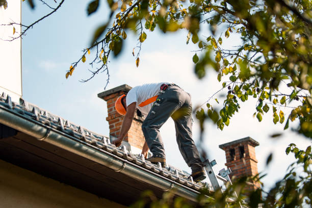 Best Gutter Installation and Roofing  in Saegertown, PA