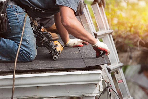 Best Roof Gutter Cleaning  in Saegertown, PA